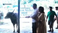 Penyembelihan hewan kurban oleh Polda Papua Tengah dan Polres Nabire