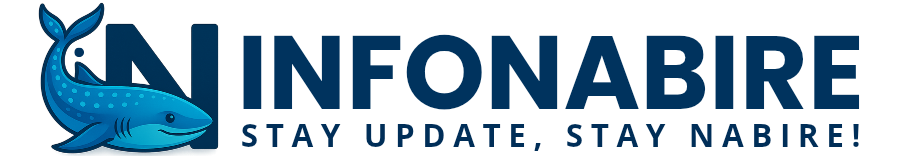 infoNabire logo header