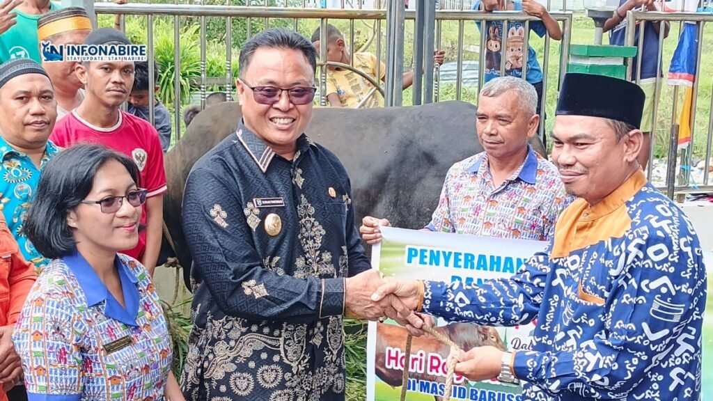 Penyerahan sapi kurban Presiden Prabowo Subianto oleh Pemkab Nabire di Masjid Babussalam Kalibobo