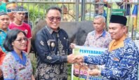 Penyerahan sapi kurban Presiden Prabowo Subianto oleh Pemkab Nabire di Masjid Babussalam Kalibobo