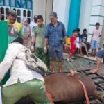 Suasana pemotongan hewan kurban di Masjid Nurul Bahri Smoker Nabire pada Idul Adha 1446 H