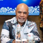Wakil Gubernur Papua Tengah, Deinas Geley
