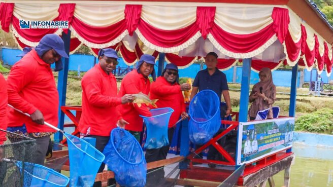 Gubernur bersama Forkopimda panen ikan di kolam Dinas Perikanan Paniai