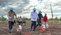 Wakil Bupati Nabire, Burhanuddin Pawennari, bersama Kapolres Nabire, AKBP Samuel D. Tatiratu, menanam jagung dalam kegiatan serentak di Karadiri 2, Wanggar Makmur, Rabu (9/7/2025).