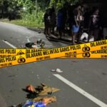 Laka Lantas Adu Banteng di Jalan Mandala, Satu Korban Meninggal Dunia