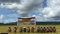 Bumi Raya Panen Raya Padi 250 Hektar, Gubernur Papua Tengah: Pertanian Maju Jadi Tulang Punggung Ekonomi dan Pangan
