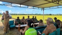 Wabup Nabire Apresiasi Petani yang Panen Padi di Lahan 250 Hektar: Pejuang Pangan Layak Diberi Perhatian