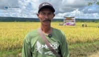 Panen Raya 250 Hektar, Petani Bumi Raya Sampaikan Kendala BBM dan Minta Solusi