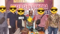 Ditresnarkoba Polda Papua Tengah Tangkap DPO Kasus Ganja di Pelabuhan Samabusa Nabire