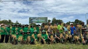 Brigjen TNI Frits Pelamonia Pimpin Panen Raya Perdana Korem 173/PVB