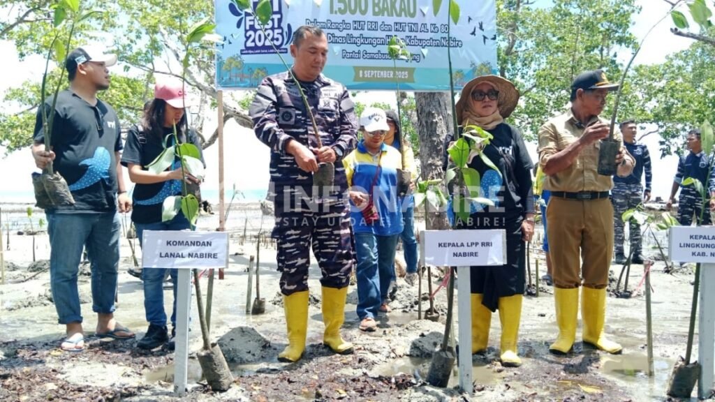 RRI Fest 2025 di Nabire, Ratusan Peserta Tanam Ribuan Mangrove di Pesisir Sawado