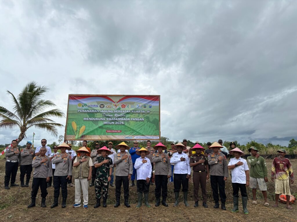 Pemkab Nabire Dukung Penanaman Jagung Serentak