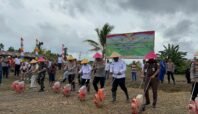 Polda Papua Tengah Gelar Penanaman Jagung Serentak Dukung Ketahanan Pangan Nasional