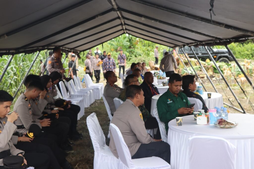 Polda Papua Tengah dan Polres Nabire Gelar Panen Raya Jagung Serentak Kuartal IV 2025