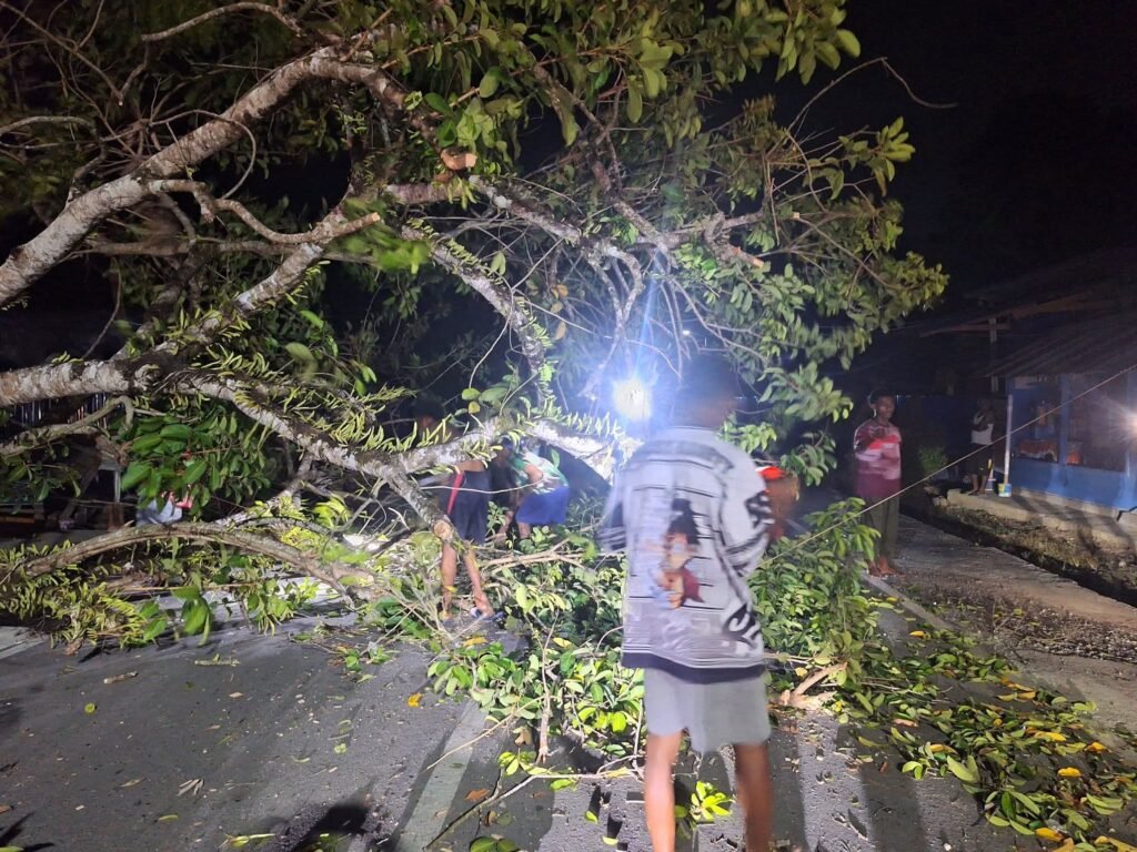 Angin Kencang Melanda Nabire, Warga Laporkan Pohon Tumbang dan Listrik Padam