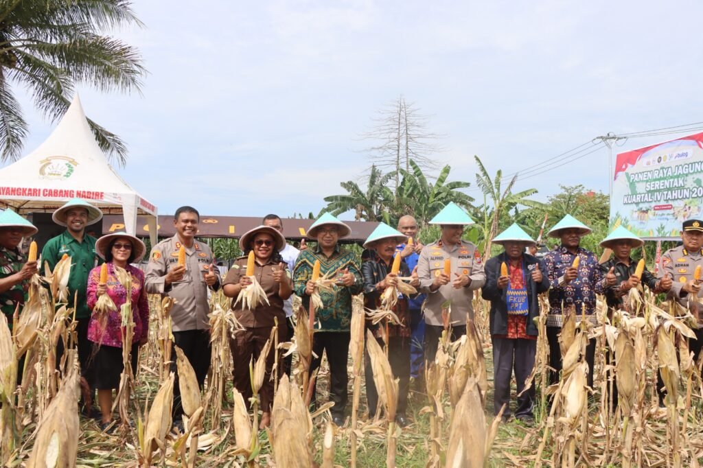 Polda Papua Tengah dan Polres Nabire Gelar Panen Raya Jagung Serentak Kuartal IV 2025