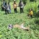 BREAKING NEWS! Heboh Temuan Mayat Pria di Lokasi Material Wanggar