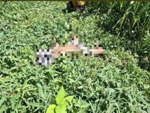 Berpamitan Mancing Tak Pernah Kembali, Adik Korban Ungkap Kronologi Penemuan AP di Wanggar