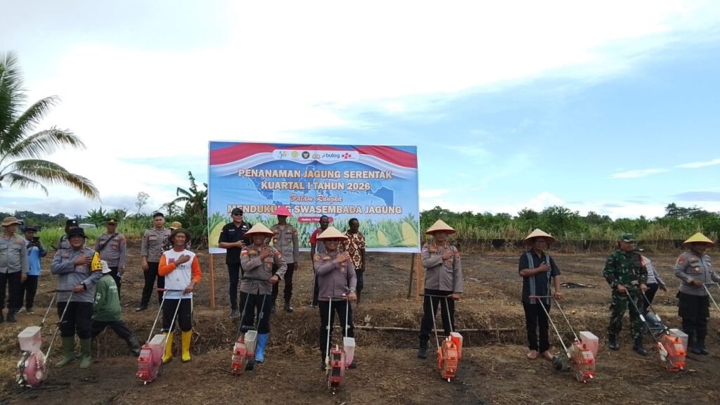 Dukung Swasembada Jagung, Polda Papua Tengah Tanam Jagung Serentak di Makimi Nabire