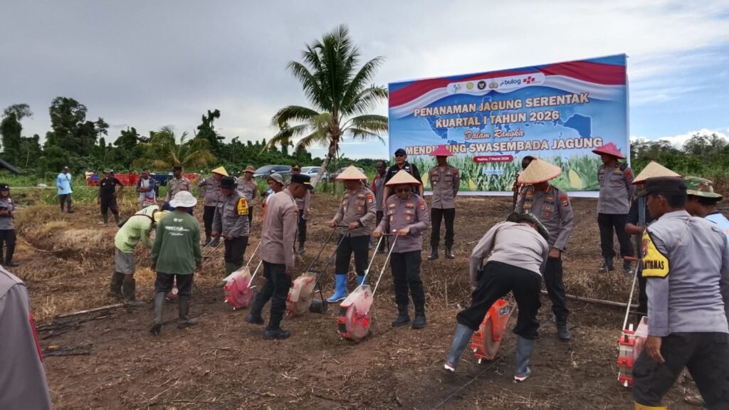 Dukung Swasembada Jagung, Polda Papua Tengah Tanam Jagung Serentak di Makimi Nabire