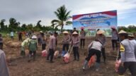 Dukung Swasembada Jagung, Polda Papua Tengah Tanam Jagung Serentak di Makimi Nabire