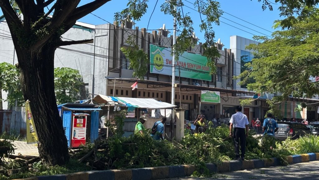 DLH Nabire Tebang Pohon Rusak yang Ganggu Jalan dan Penerangan, Ini Alasannya
