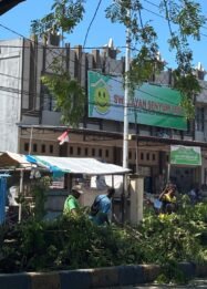 DLH Nabire Tebang Pohon Rusak yang Ganggu Jalan dan Penerangan, Ini Alasannya