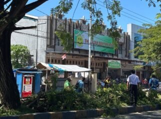 DLH Nabire Tebang Pohon Rusak yang Ganggu Jalan dan Penerangan, Ini Alasannya