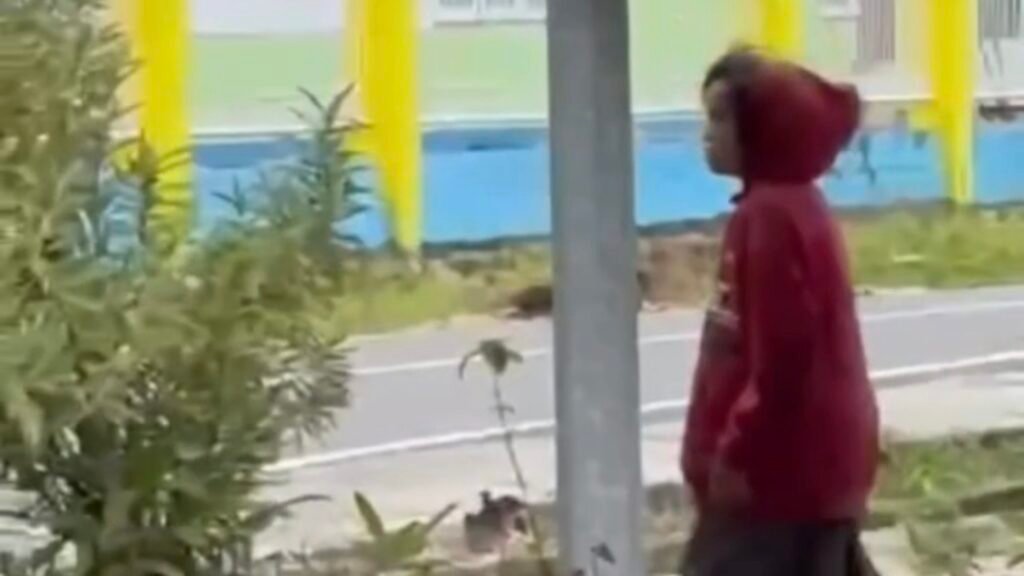 Salah Satu Toko di Jalan Merdeka Nabire Dilempari ODGJ, Usai Viral Dibawa ke RSUD Siriwini