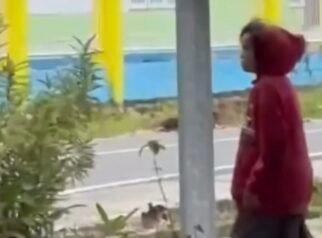 Salah Satu Toko di Jalan Merdeka Nabire Dilempari ODGJ, Usai Viral Dibawa ke RSUD Siriwini