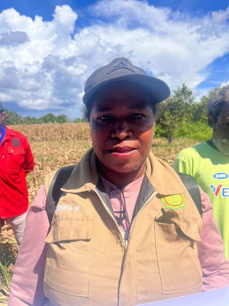 Tingkatkan Produktivitas Petani Jagung Polda Papua Tengah Hadir di Distrik Yaro dan Distrik Wanggar