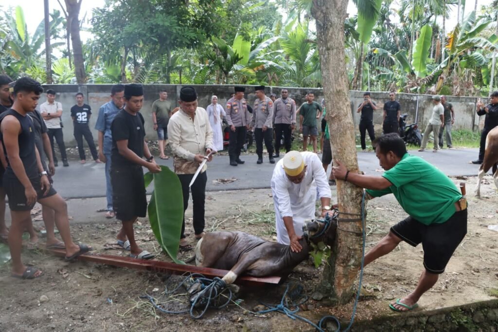 Polres Nabire Gelar Penyembelihan Hewan Kurban dan Santuni Anak Yatim Piatu di Hari Raya Idul Adha 1447 H