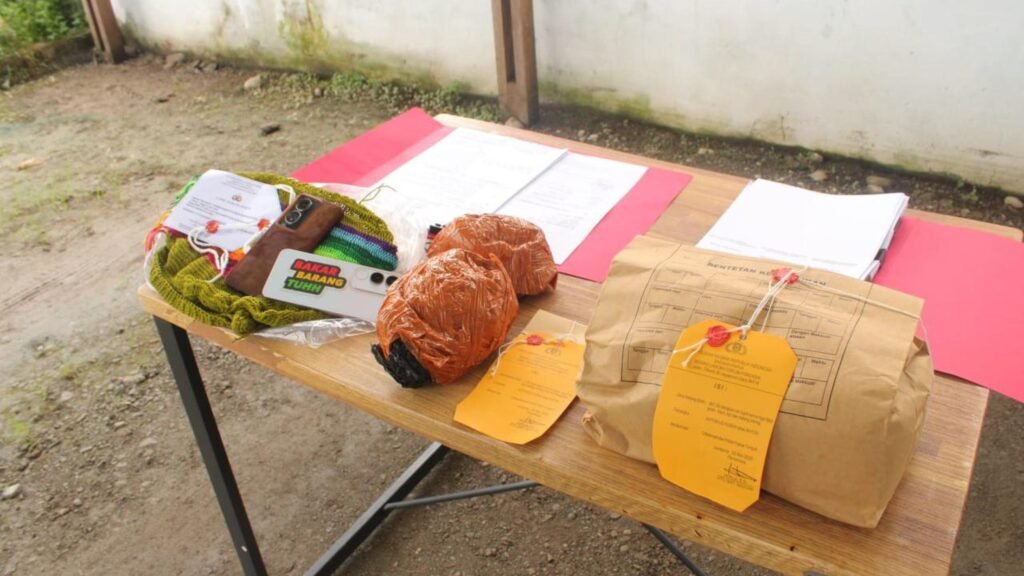 Polda Papua Tengah Musnahkan 808 Gram Ganja, Warga PNG dan Pemuda Nabire Ditangkap