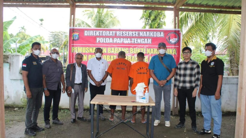 Polda Papua Tengah Musnahkan 808 Gram Ganja, Warga PNG dan Pemuda Nabire Ditangkap