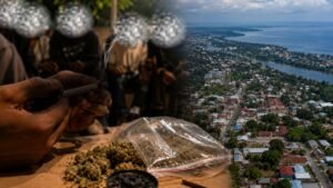 Nama-Nama Wilayah di Nabire Disebut Jadi Pusat Ganja, Ini Pengakuannya