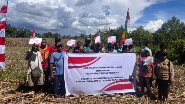 Tingkatkan Produktivitas Petani Jagung Polda Papua Tengah Hadir di Distrik Yaro dan Distrik Wanggar