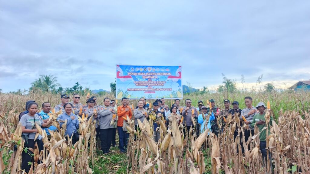 Polda Papua Tengah Panen Raya Jagung di Nabire, Dukung Swasembada Pangan 2026