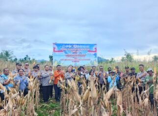 Polda Papua Tengah Panen Raya Jagung di Nabire, Dukung Swasembada Pangan 2026