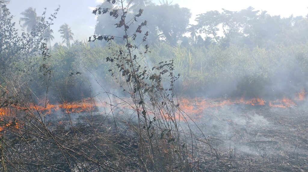 Diduga Dibakar OTK, Kebakaran Lahan di Belakang PLTMG Kalibobo Berhasil Dipadamkan