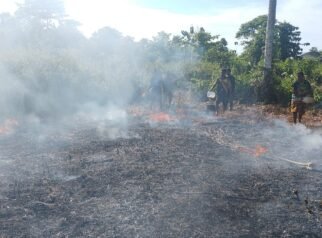 Diduga Dibakar OTK, Kebakaran Lahan di Belakang PLTMG Kalibobo Berhasil Dipadamkan