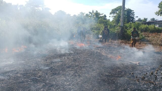 Diduga Dibakar OTK, Kebakaran Lahan di Belakang PLTMG Kalibobo Berhasil Dipadamkan