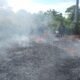 Diduga Dibakar OTK, Kebakaran Lahan di Belakang PLTMG Kalibobo Berhasil Dipadamkan