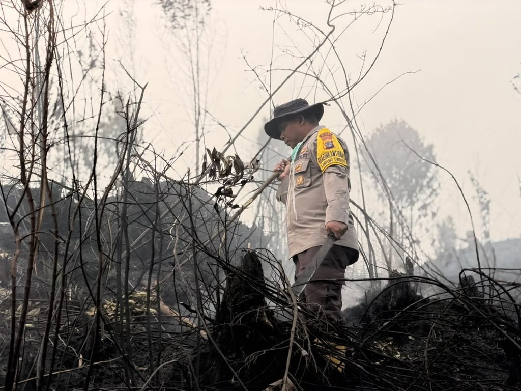 Sinergitas TNI-Polri dan Pemda Paniai, Bersama Tangani Karhutla di Wilayah Madi