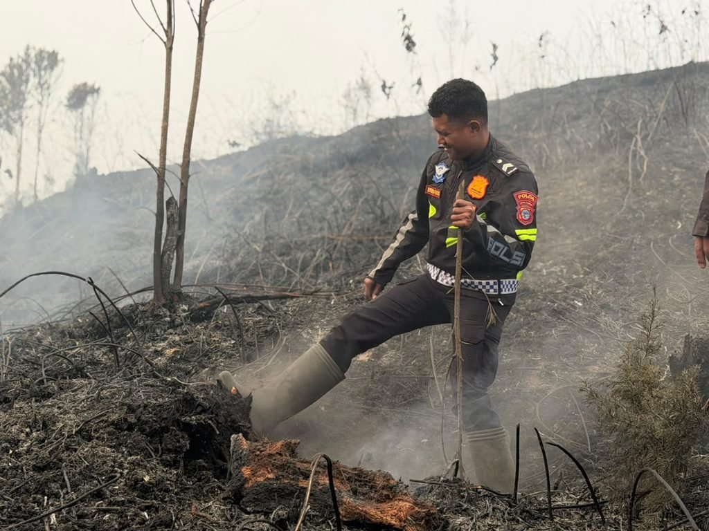 Sinergitas TNI-Polri dan Pemda Paniai, Bersama Tangani Karhutla di Wilayah Madi