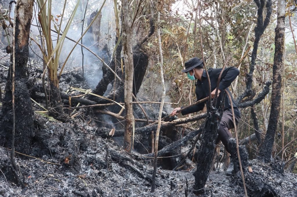 Sinergitas TNI-Polri dan Pemda Paniai, Bersama Tangani Karhutla di Wilayah Madi