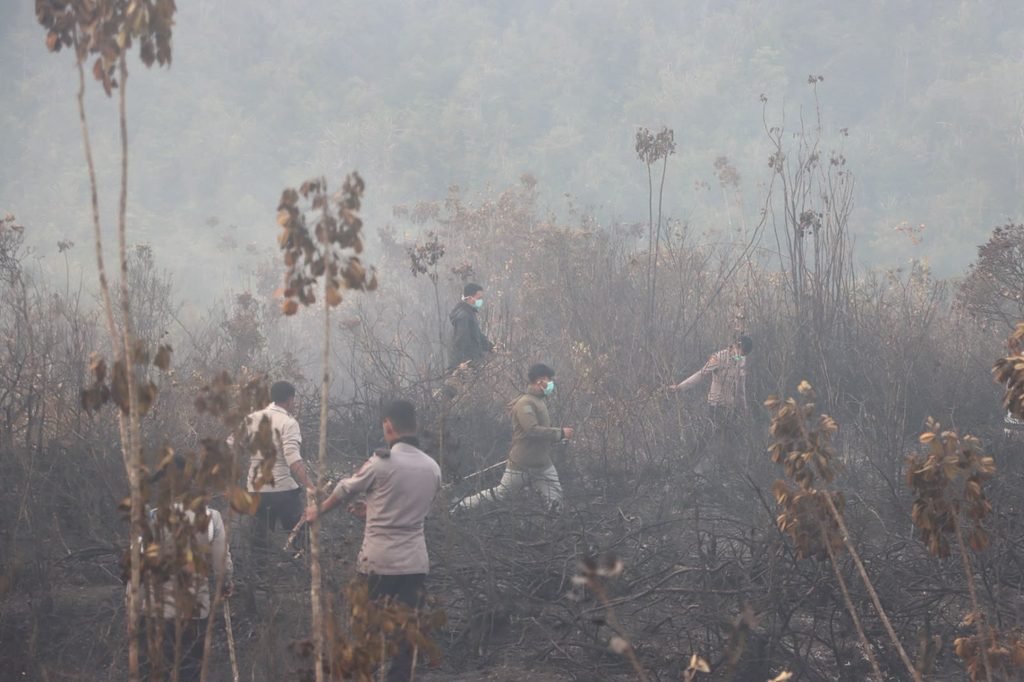 Sinergitas TNI-Polri dan Pemda Paniai, Bersama Tangani Karhutla di Wilayah Madi