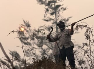 Sinergitas TNI-Polri dan Pemda Paniai, Bersama Tangani Karhutla di Wilayah Madi